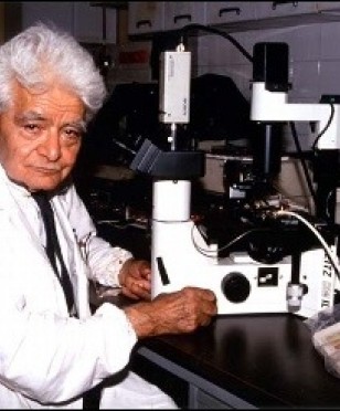 20131216 192528 20131216 192528